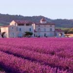 10 Tempat Terbaik untuk Dikunjungi di Provence, Prancis Selatan