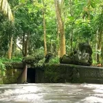 Monkey Forest Ubud, Petualangan di Hutan Monyet yang Mistis di Bali