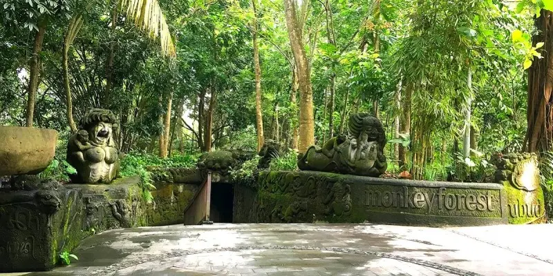 Monkey Forest Ubud, Petualangan di Hutan Monyet yang Mistis di Bali
