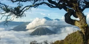 Pesona Malang, Menggali Keindahan Wisata Alam dan Budaya di Kota Bunga