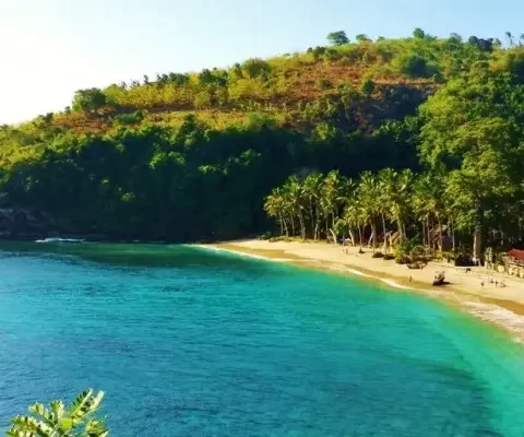 Petualangan di Pantai Crystal Bay, Menjelajahi Surga Bawah Laut dan Pemandangan Indah di Nusa Penida