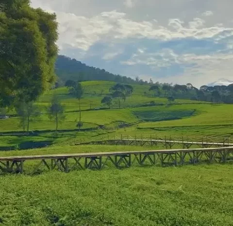 Riung Gunung, Tempat Wisata Alam Hits di Bandung