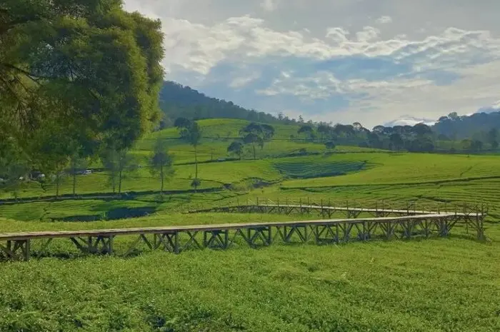 Riung Gunung, Tempat Wisata Alam Hits di Bandung