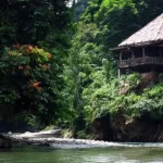 Tangkahan Langkat, Objek Wisata Alam dengan Panorama Memukau di Sumatera Utara