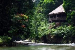 Tangkahan Langkat, Objek Wisata Alam dengan Panorama Memukau di Sumatera Utara