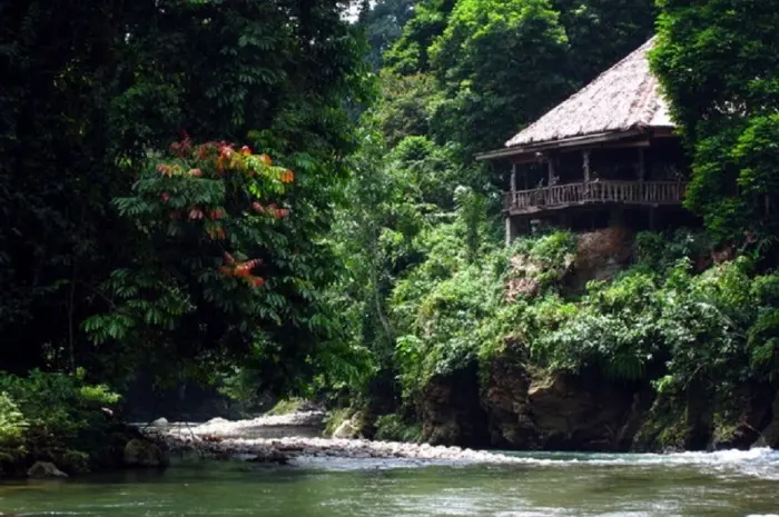 Tangkahan Langkat, Objek Wisata Alam dengan Panorama Memukau di Sumatera Utara
