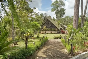 Kebun Raya Balikpapan